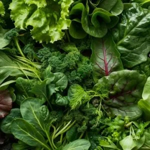 Wild greens harvested from the land and thoughtfully prepared for a delicious meal