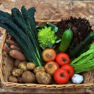 Large Vegetables