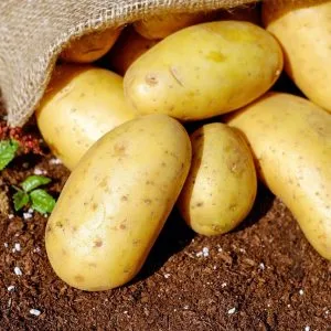 potatoes-1585075_1280