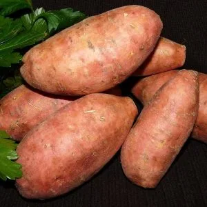 vegetable-3559112_1280